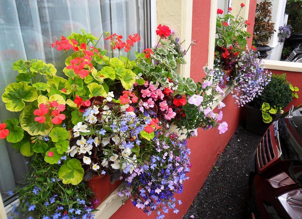 Achill House Hotel Cork Exterior photo